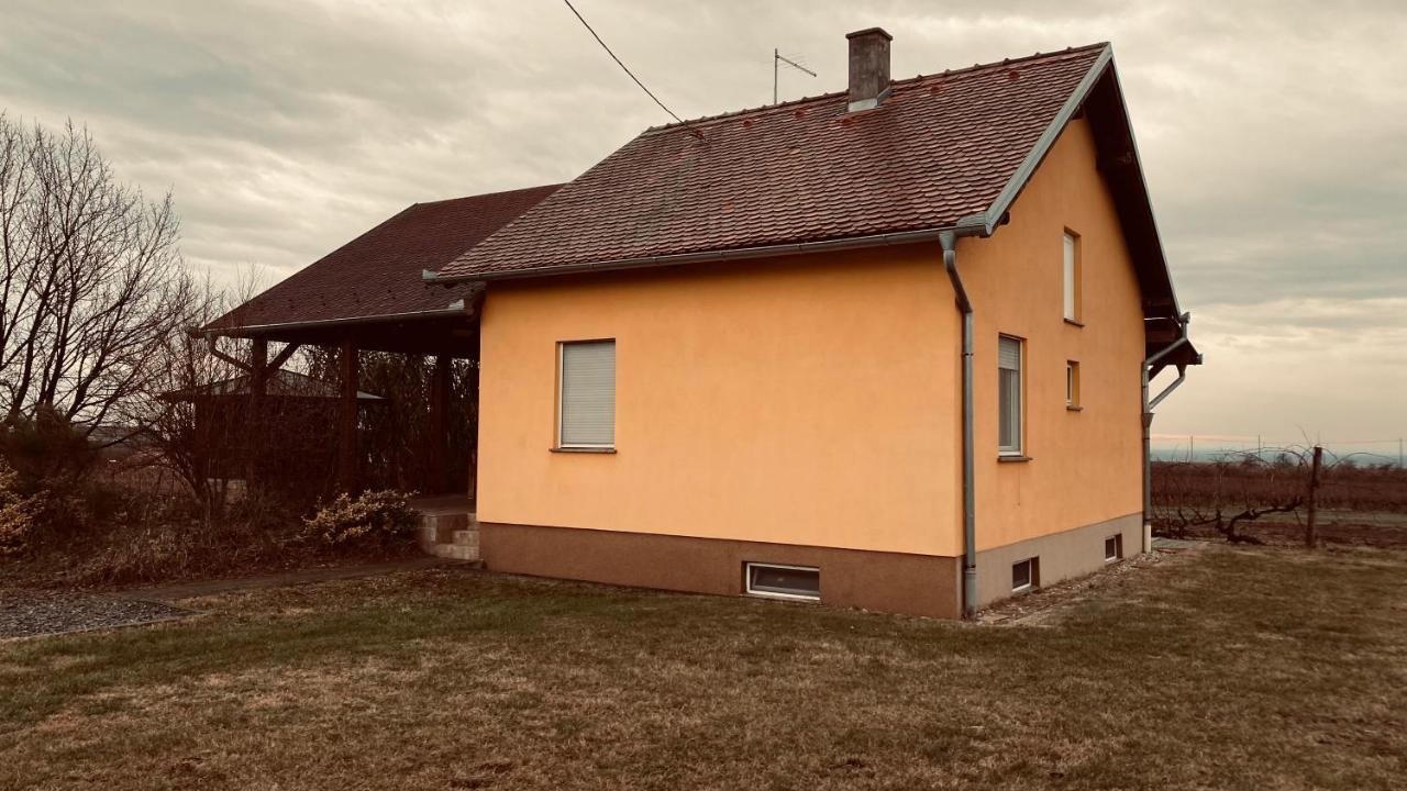 Kuca Za Odmor Brzica Erdut Villa Exterior photo